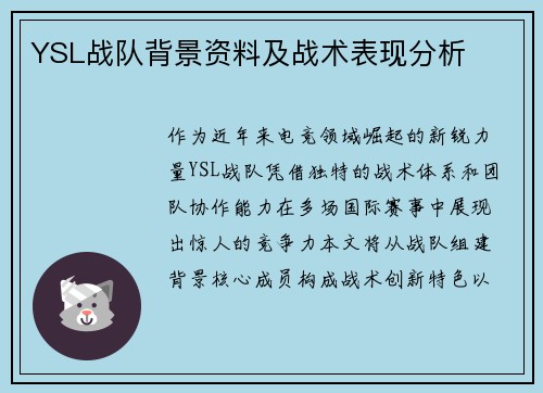 YSL战队背景资料及战术表现分析
