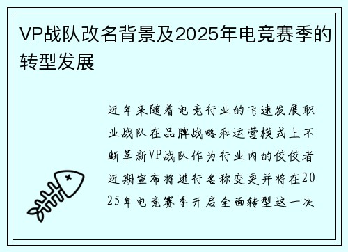 VP战队改名背景及2025年电竞赛季的转型发展